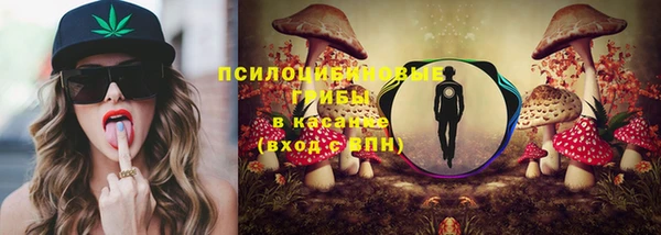 гидра Баксан