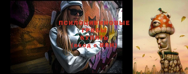 гидра Баксан
