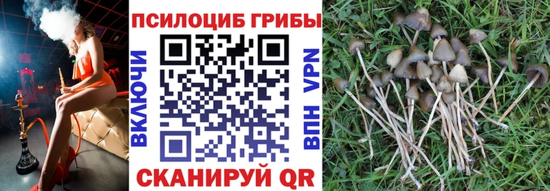 Псилоцибиновые грибы Magic Shrooms  Тарко-Сале 